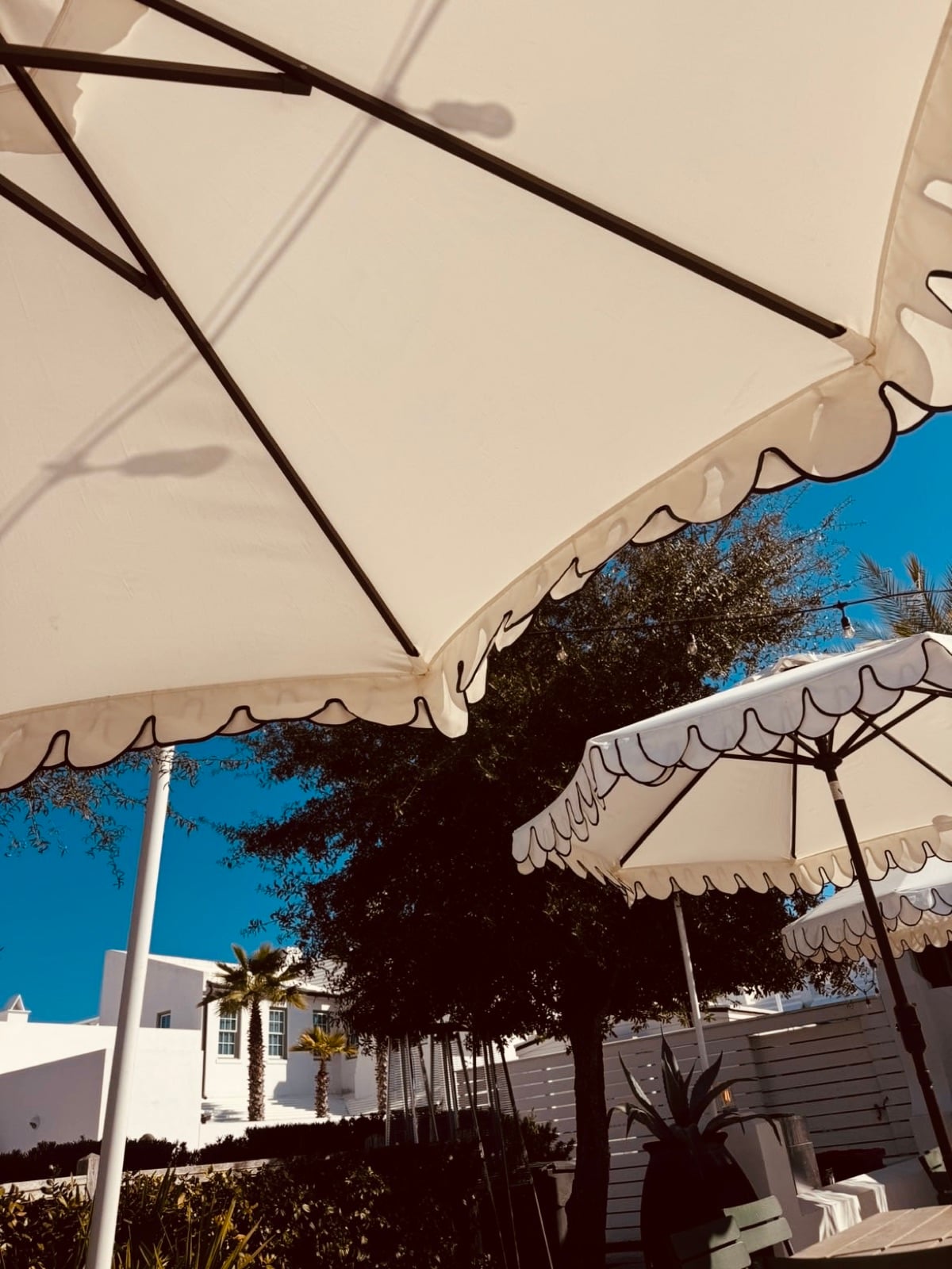 Cream scalloped parasols under a clear summer sky